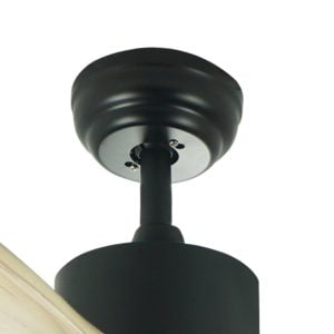 NTP-SW42-BKWD-LED-4