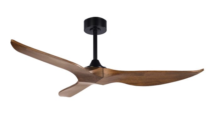 דף בית • WeFans מאווררי נורטר 2026