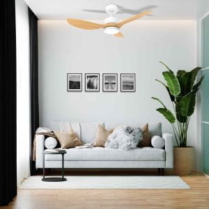 NTP-CLS42-WHBW-LED-6-min