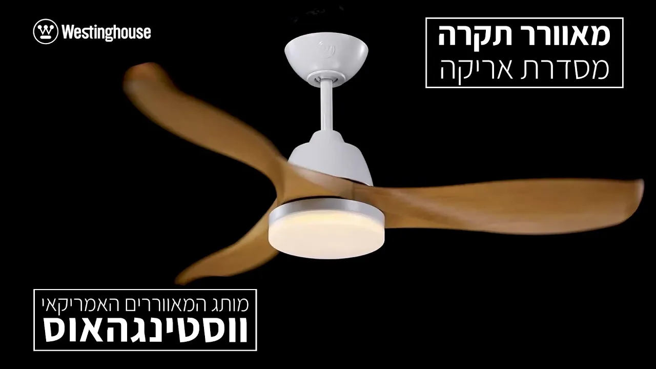 תמונה ממוזערת אריקה וידאו