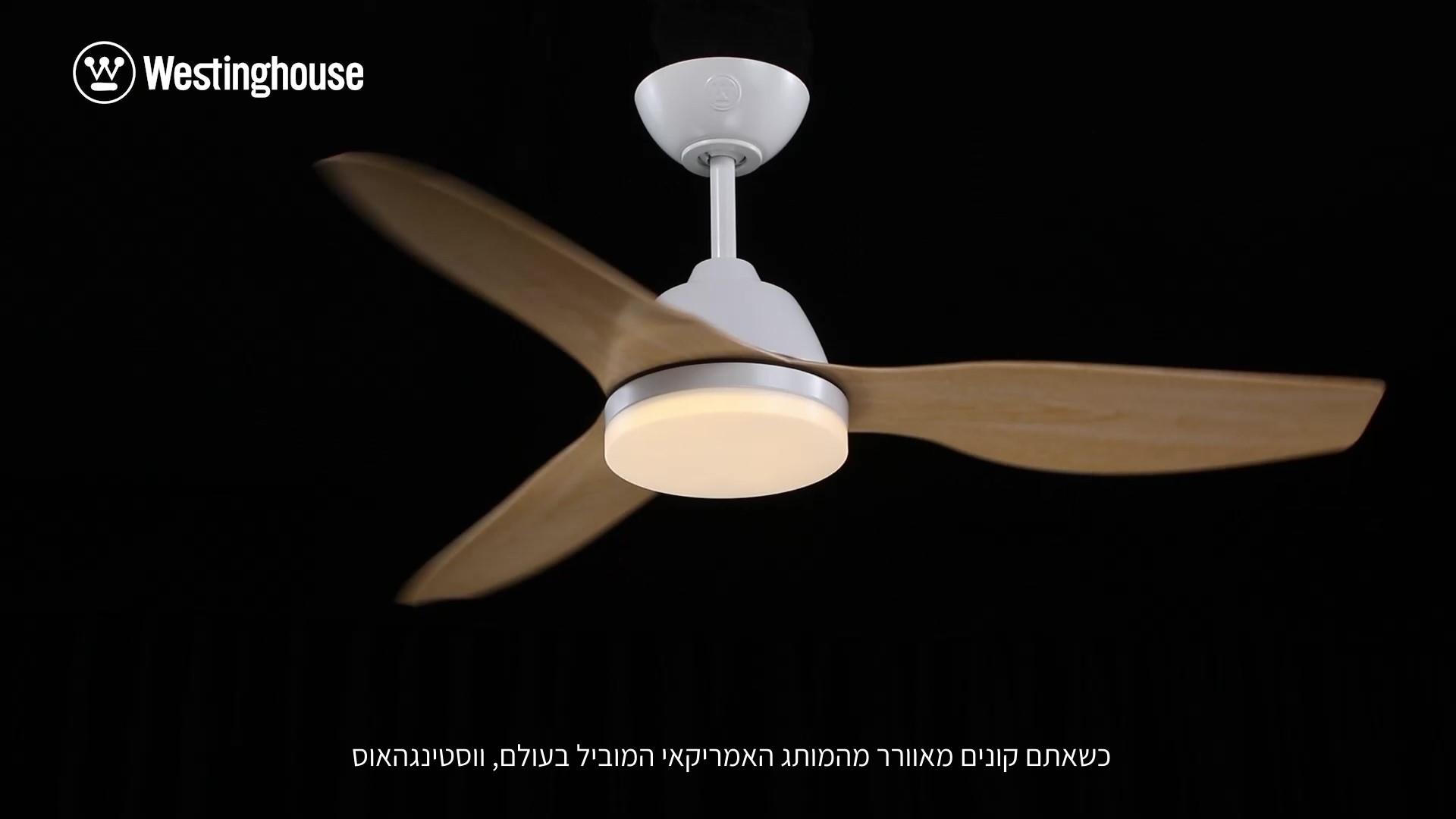 ווסטינגהאוס מגנוליה תמונה ממוזערת