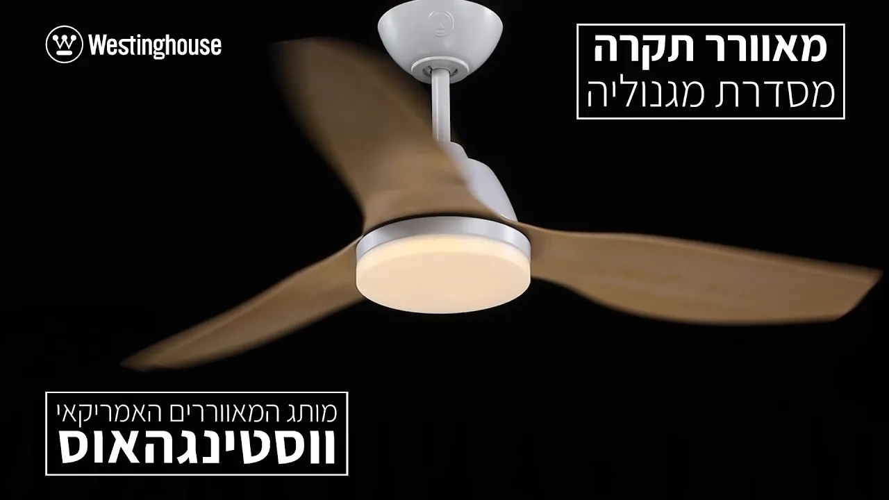 תמונה ממוזערת סרטון מגנוליה