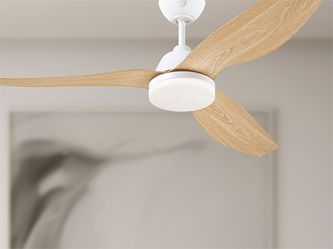 מאוורר תקרה לסלון